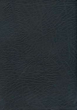 NASB MacArthur Study Bible Large Print Indexed, John MacArthur NASB MacArthur Study Bible Large Print Indexed, John MacArthur